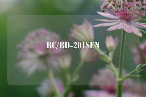 BC/BD-201SEN