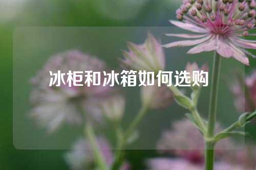 冰柜和冰箱如何选购