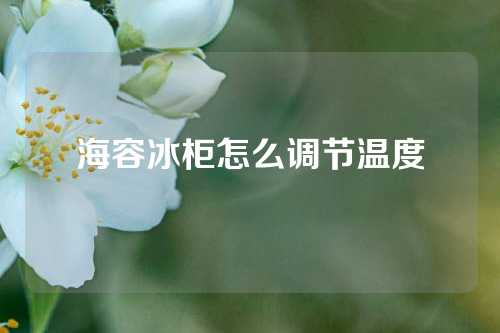 海容冰柜怎么调节温度