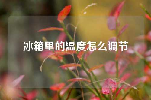 冰箱里的温度怎么调节