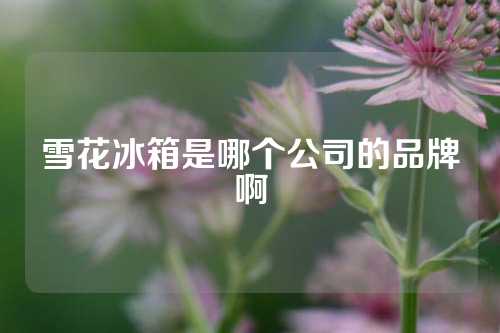 雪花冰箱是哪个公司的品牌啊