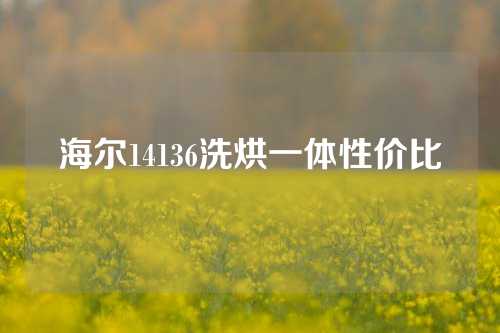 海尔14136洗烘一体性价比