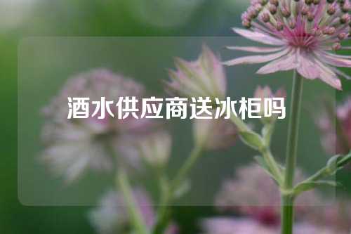 酒水供应商送冰柜吗