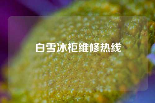 白雪冰柜维修热线