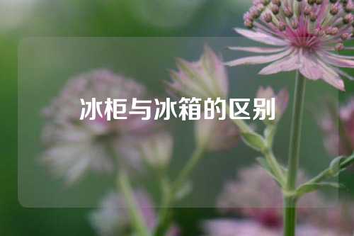 冰柜与冰箱的区别