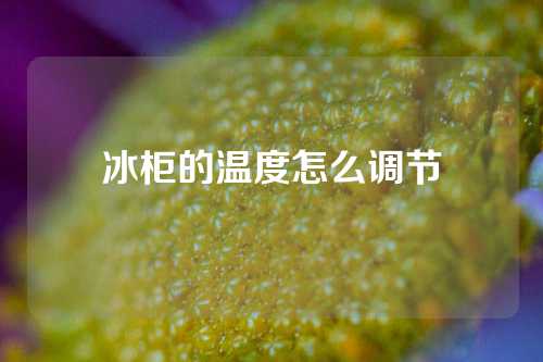 冰柜的温度怎么调节