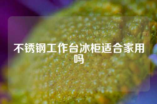 不锈钢工作台冰柜适合家用吗