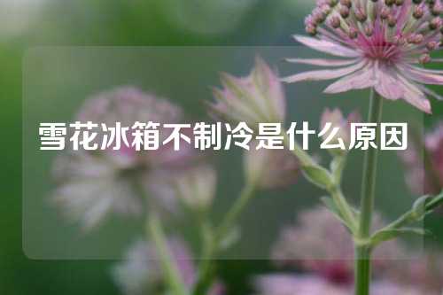 雪花冰箱不制冷是什么原因