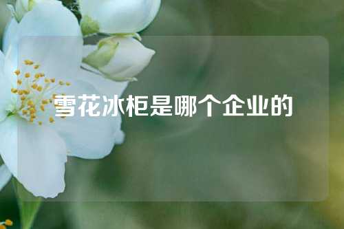 雪花冰柜是哪个企业的