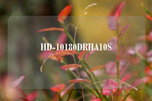 HD-10180DRHA10S