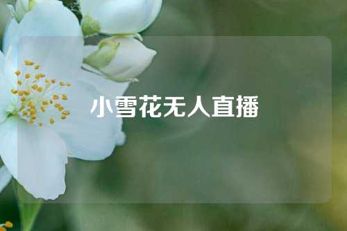 小雪花无人直播