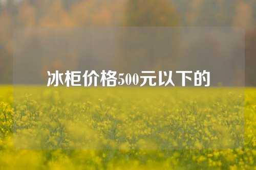 冰柜价格500元以下的