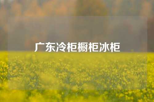 广东冷柜橱柜冰柜