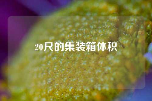 20尺的集装箱体积