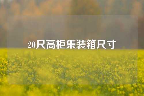 20尺高柜集装箱尺寸