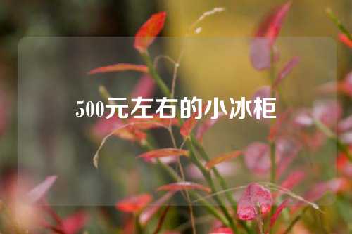 500元左右的小冰柜