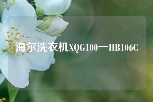 海尔洗衣机XQG100一HB106C