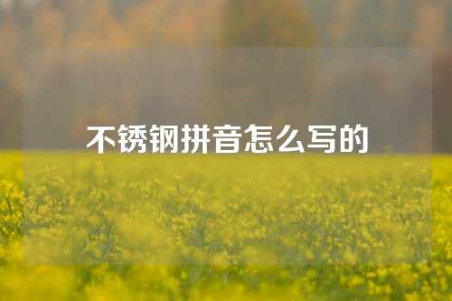 不锈钢拼音怎么写的