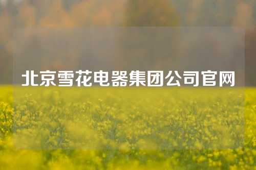 北京雪花电器集团公司官网