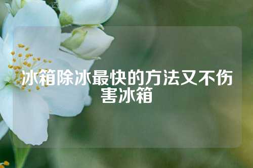 冰箱除冰最快的方法又不伤害冰箱