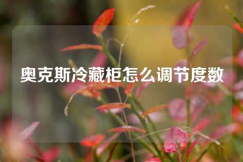 奥克斯冷藏柜怎么调节度数