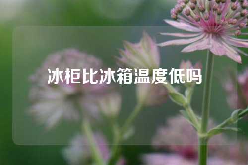 冰柜比冰箱温度低吗