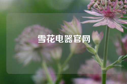 雪花电器官网