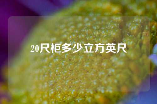 20尺柜多少立方英尺