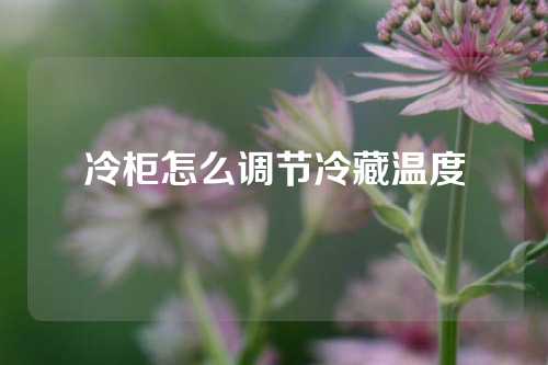 冷柜怎么调节冷藏温度