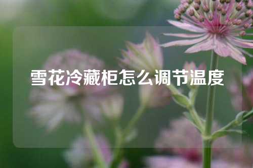 雪花冷藏柜怎么调节温度