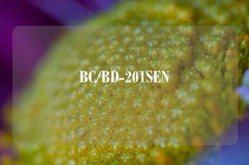 BC/BD-201SEN