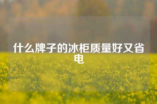 什么牌子的冰柜质量好又省电