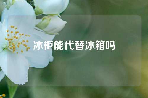 冰柜能代替冰箱吗