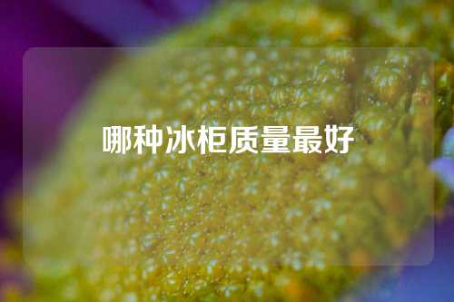 哪种冰柜质量最好