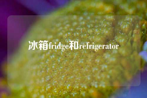 冰箱fridge和refrigerator