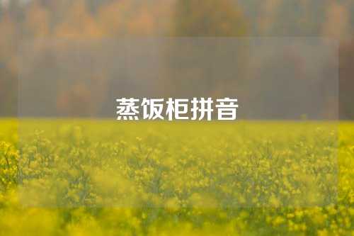 蒸饭柜拼音