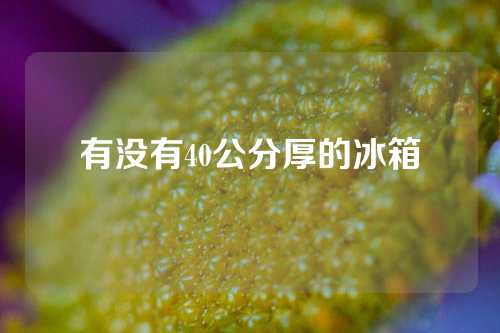 有没有40公分厚的冰箱