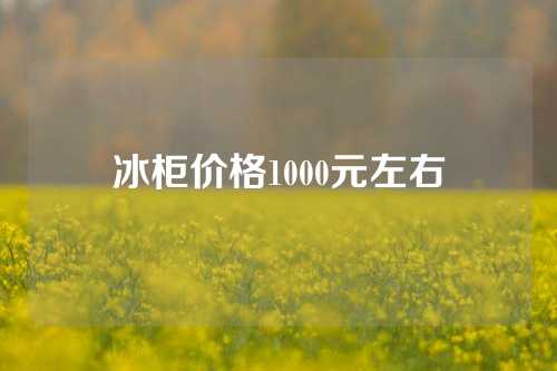 冰柜价格1000元左右