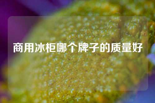 商用冰柜哪个牌子的质量好