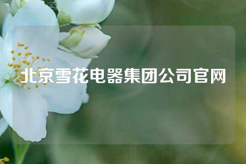 北京雪花电器集团公司官网